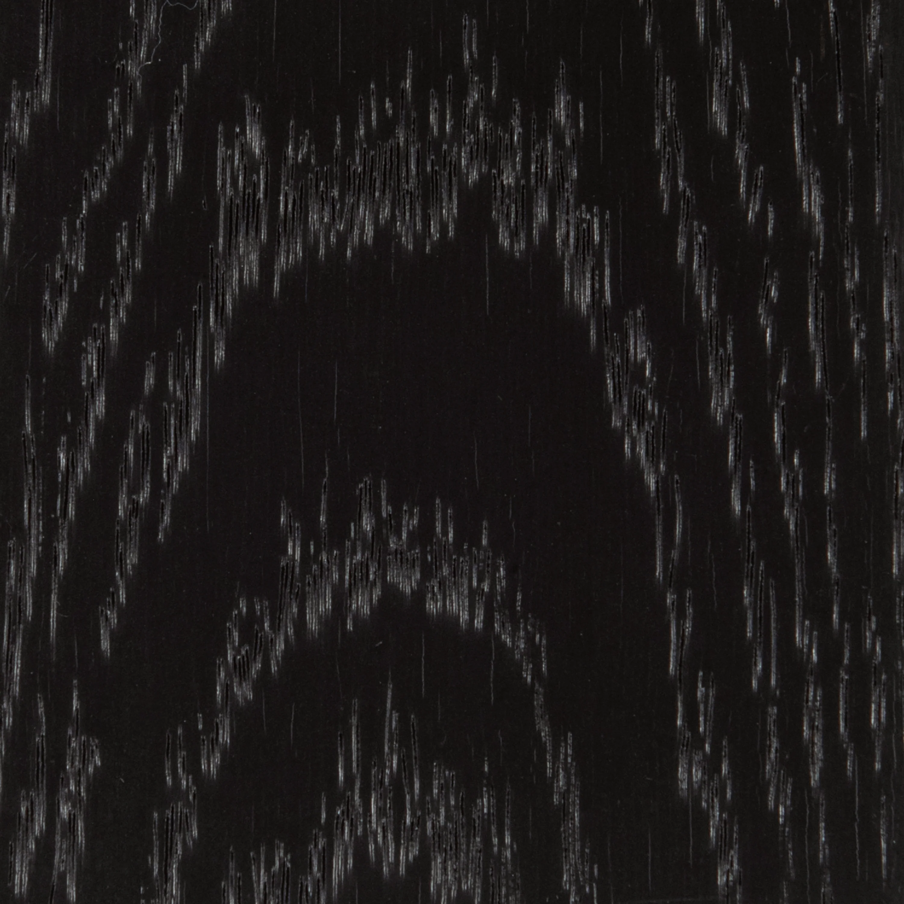 Gabby - Image 7